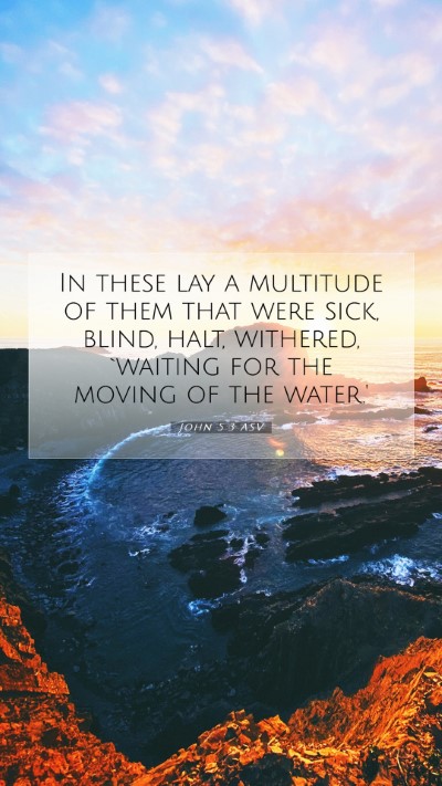 Picture 07 - John 5:3 ASV Mobile Phone Wallpaper - In these lay a multitude of them that were sick, - Mobile Bible Verse Wallpaper