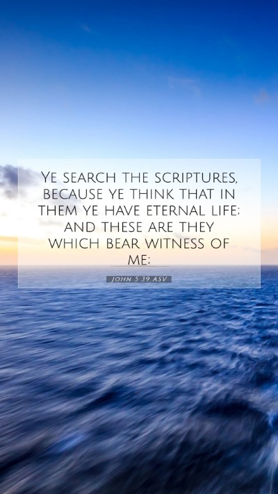 Picture 07 - John 5:39 ASV Mobile Phone Wallpaper - Ye search the scriptures, because ye think that - Mobile Bible Verse Wallpaper
