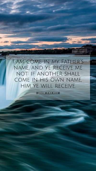 Picture 07 - John 5:43 ASV Mobile Phone Wallpaper - I am come in my Father's name, and ye receive me - Mobile Bible Verse Wallpaper