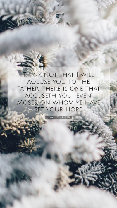 Picture 07 - John 5:45 ASV Mobile Phone Wallpaper - Think not that I will accuse you to the Father: - Mobile Bible Verse Wallpaper