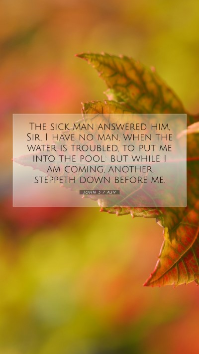 Picture 07 - John 5:7 ASV Mobile Phone Wallpaper - The sick man answered him, Sir, I have no man, - Mobile Bible Verse Wallpaper