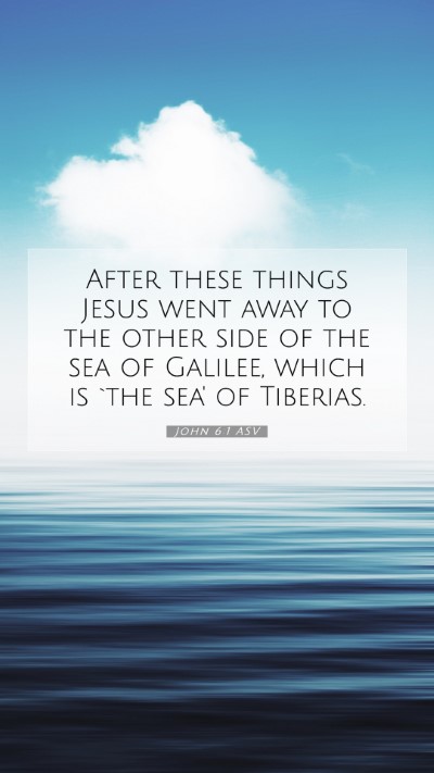 Picture 07 - John 6:1 ASV Mobile Phone Wallpaper - After these things Jesus went away to the other - Mobile Bible Verse Wallpaper