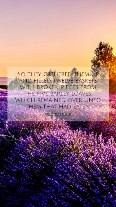 Picture 07 - John 6:13 ASV Mobile Phone Wallpaper - So they gathered them up, and filled twelve - Mobile Bible Verse Wallpaper