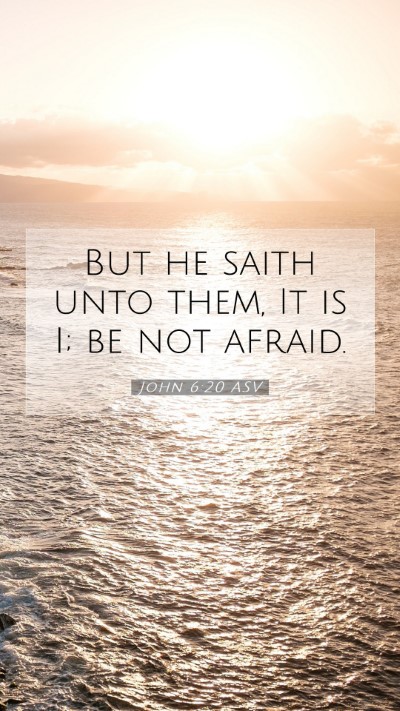 Picture 07 - John 6:20 ASV Mobile Phone Wallpaper - But he saith unto them, It is I; be not - Mobile Bible Verse Wallpaper