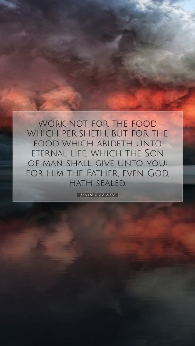 Picture 07 - John 6:27 ASV Mobile Phone Wallpaper - Work not for the food which perisheth, but for - Mobile Bible Verse Wallpaper