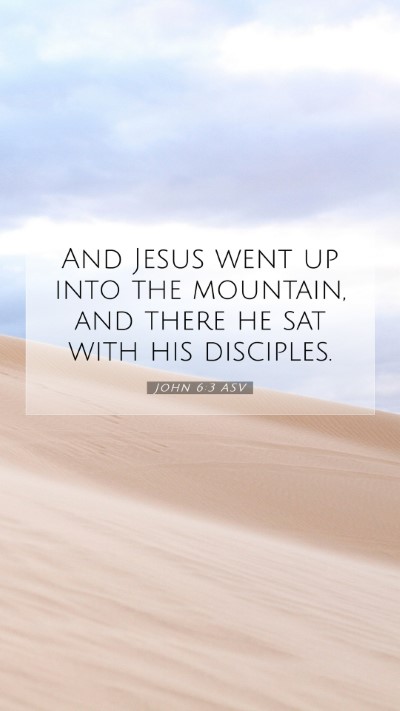 Picture 07 - John 6:3 ASV Mobile Phone Wallpaper - And Jesus went up into the mountain, and there he - Mobile Bible Verse Wallpaper