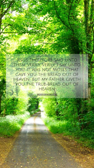 Picture 07 - John 6:32 ASV Mobile Phone Wallpaper - Jesus therefore said unto them, Verily, verily, I - Mobile Bible Verse Wallpaper