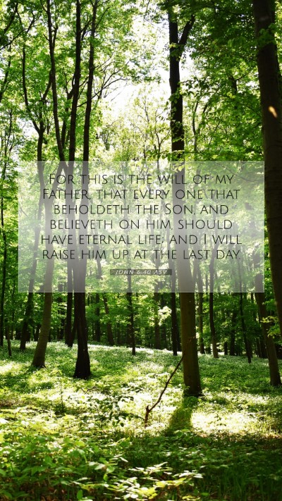 Picture 07 - John 6:40 ASV Mobile Phone Wallpaper - For this is the will of my Father, that every one - Mobile Bible Verse Wallpaper