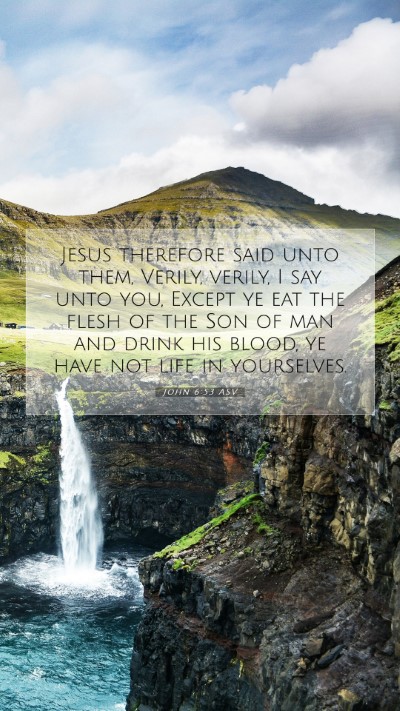 Picture 07 - John 6:53 ASV Mobile Phone Wallpaper - Jesus therefore said unto them, Verily, verily, I - Mobile Bible Verse Wallpaper