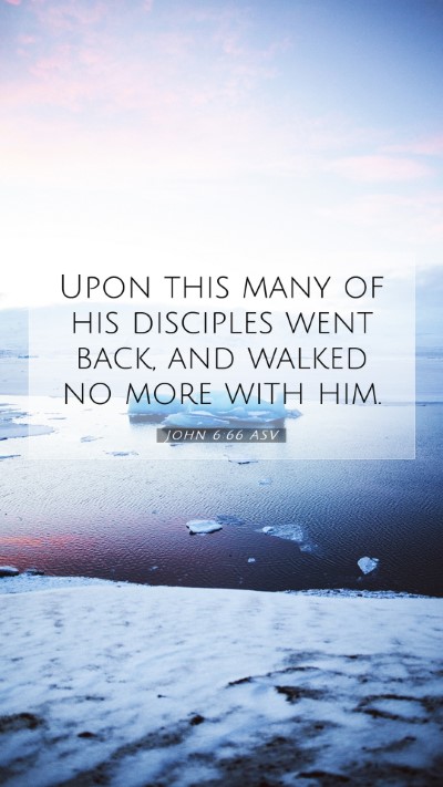 Picture 07 - John 6:66 ASV Mobile Phone Wallpaper - Upon this many of his disciples went back, and - Mobile Bible Verse Wallpaper
