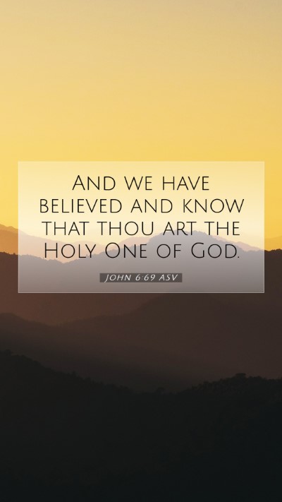 Picture 07 - John 6:69 ASV Mobile Phone Wallpaper - And we have believed and know that thou art the - Mobile Bible Verse Wallpaper