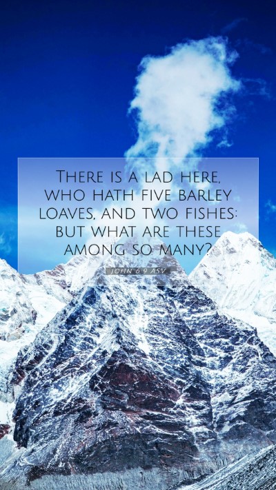 Picture 07 - John 6:9 ASV Mobile Phone Wallpaper - There is a lad here, who hath five barley loaves, - Mobile Bible Verse Wallpaper