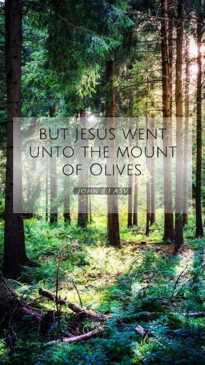 Picture 07 - John 8:1 ASV Mobile Phone Wallpaper - but Jesus went unto the mount of - Mobile Bible Verse Wallpaper