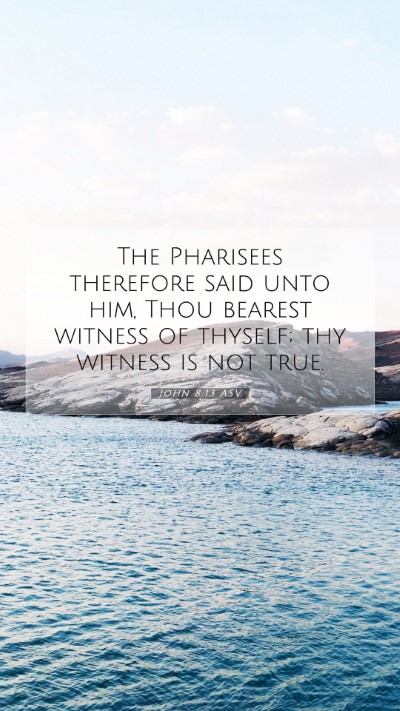 Picture 07 - John 8:13 ASV Mobile Phone Wallpaper - The Pharisees therefore said unto him, Thou - Mobile Bible Verse Wallpaper