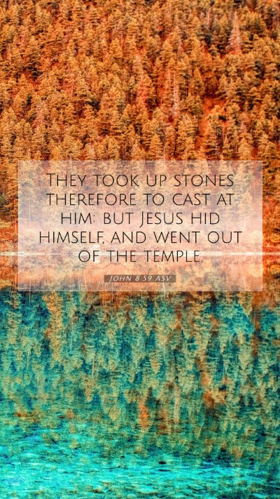 Picture 07 - John 8:59 ASV Mobile Phone Wallpaper - They took up stones therefore to cast at him: but - Mobile Bible Verse Wallpaper