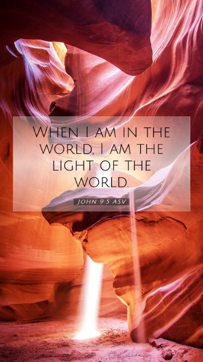 Picture 07 - John 9:5 ASV Mobile Phone Wallpaper - When I am in the world, I am the light of the - Mobile Bible Verse Wallpaper