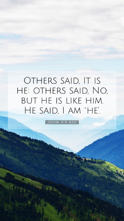 Picture 07 - John 9:9 ASV Mobile Phone Wallpaper - Others said, It is he: others said, No, but he is - Mobile Bible Verse Wallpaper