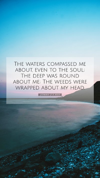 Picture 07 - Jonah 2:5 ASV Mobile Phone Wallpaper - The waters compassed me about, even to the soul; - Mobile Bible Verse Wallpaper