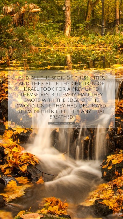 Picture 07 - Joshua 11:14 ASV Mobile Phone Wallpaper - And all the spoil of these cities, and the - Mobile Bible Verse Wallpaper