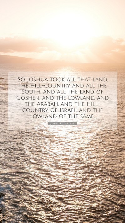 Picture 07 - Joshua 11:16 ASV Mobile Phone Wallpaper - So Joshua took all that land, the hill-country, - Mobile Bible Verse Wallpaper
