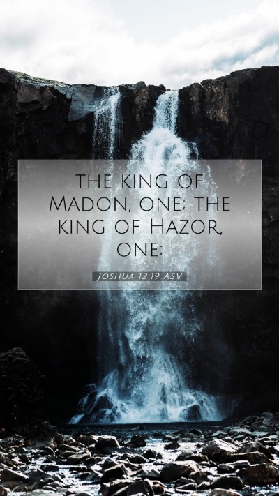Picture 07 - Joshua 12:19 ASV Mobile Phone Wallpaper - the king of Madon, one; the king of Hazor, - Mobile Bible Verse Wallpaper