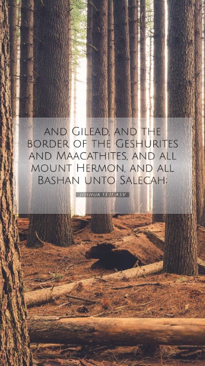 Picture 07 - Joshua 13:11 ASV Mobile Phone Wallpaper - and Gilead, and the border of the Geshurites and - Mobile Bible Verse Wallpaper