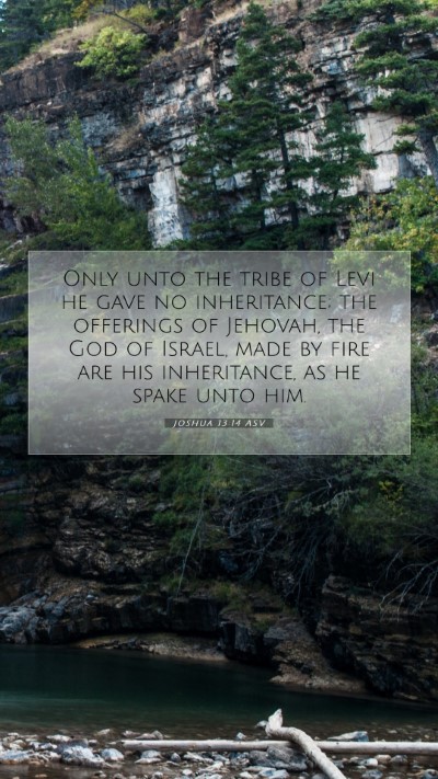 Picture 07 - Joshua 13:14 ASV Mobile Phone Wallpaper - Only unto the tribe of Levi he gave no - Mobile Bible Verse Wallpaper