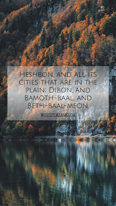 Picture 07 - Joshua 13:17 ASV Mobile Phone Wallpaper - Heshbon, and all its cities that are in the - Mobile Bible Verse Wallpaper