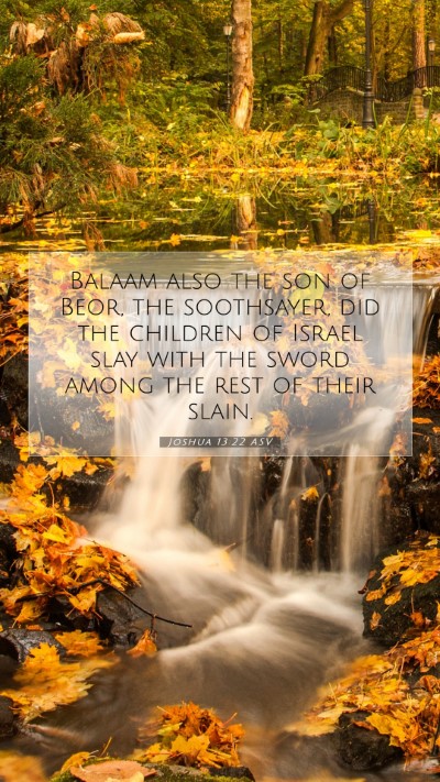 Picture 07 - Joshua 13:22 ASV Mobile Phone Wallpaper - Balaam also the son of Beor, the soothsayer, did - Mobile Bible Verse Wallpaper