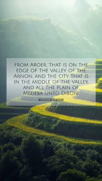 Picture 07 - Joshua 13:9 ASV Mobile Phone Wallpaper - from Aroer, that is on the edge of the valley of - Mobile Bible Verse Wallpaper