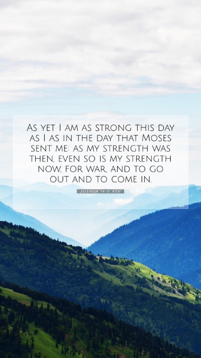 Picture 07 - Joshua 14:11 ASV Mobile Phone Wallpaper - As yet I am as strong this day as I as in the day - Mobile Bible Verse Wallpaper