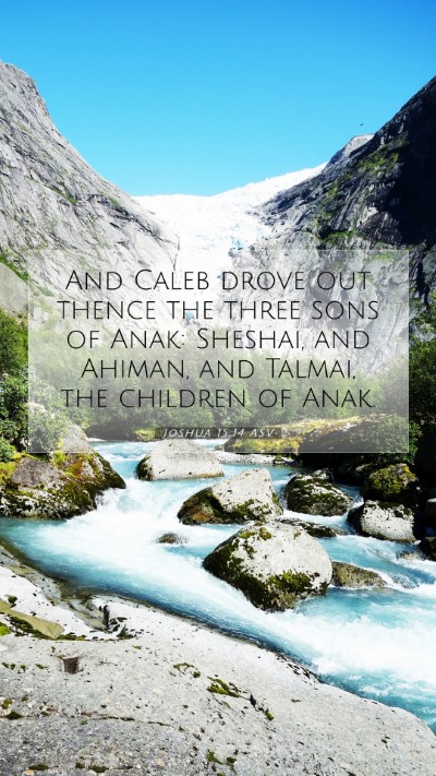 Picture 07 - Joshua 15:14 ASV Mobile Phone Wallpaper - And Caleb drove out thence the three sons of - Mobile Bible Verse Wallpaper