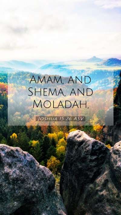 Picture 07 - Joshua 15:26 ASV Mobile Phone Wallpaper - Amam, and Shema, and - Mobile Bible Verse Wallpaper