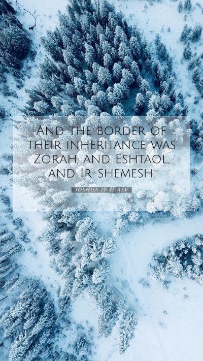 Picture 07 - Joshua 19:41 ASV Mobile Phone Wallpaper - And the border of their inheritance was Zorah, - Mobile Bible Verse Wallpaper