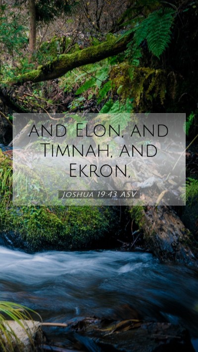 Picture 07 - Joshua 19:43 ASV Mobile Phone Wallpaper - and Elon, and Timnah, and - Mobile Bible Verse Wallpaper