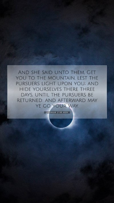 Picture 07 - Joshua 2:16 ASV Mobile Phone Wallpaper - And she said unto them, Get you to the mountain, - Mobile Bible Verse Wallpaper