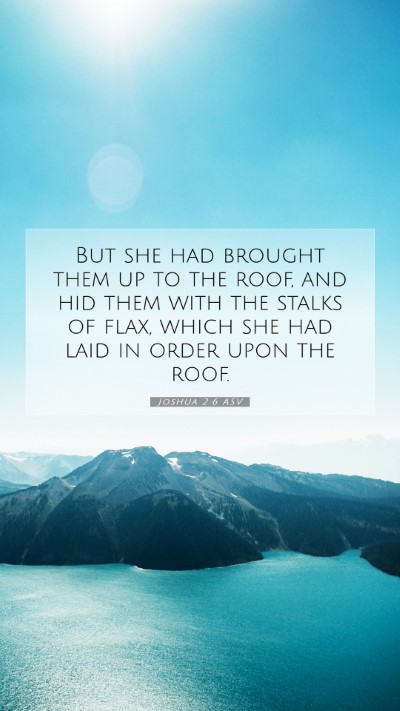 Picture 07 - Joshua 2:6 ASV Mobile Phone Wallpaper - But she had brought them up to the roof, and hid - Mobile Bible Verse Wallpaper