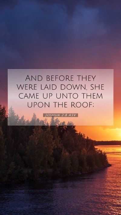 Picture 07 - Joshua 2:8 ASV Mobile Phone Wallpaper - And before they were laid down, she came up unto - Mobile Bible Verse Wallpaper