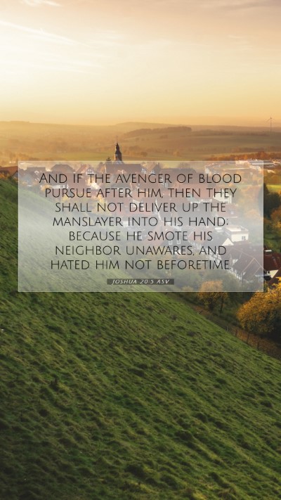 Picture 07 - Joshua 20:5 ASV Mobile Phone Wallpaper - And if the avenger of blood pursue after him, - Mobile Bible Verse Wallpaper