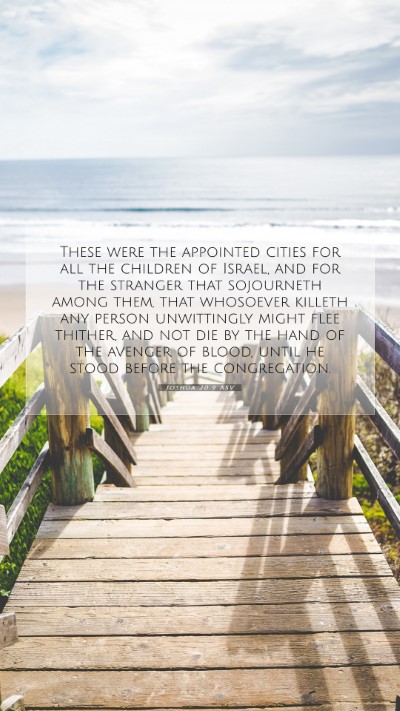 Picture 07 - Joshua 20:9 ASV Mobile Phone Wallpaper - These were the appointed cities for all the - Mobile Bible Verse Wallpaper