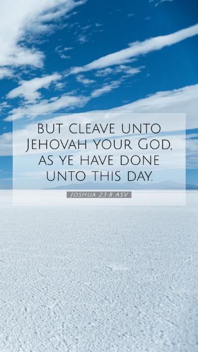 Picture 07 - Joshua 23:8 ASV Mobile Phone Wallpaper - but cleave unto Jehovah your God, as ye have done - Mobile Bible Verse Wallpaper