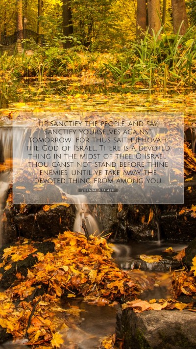 Picture 07 - Joshua 7:13 ASV Mobile Phone Wallpaper - Up, sanctify the people, and say, Sanctify - Mobile Bible Verse Wallpaper