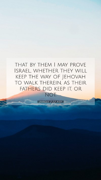 Picture 07 - Judges 2:22 ASV Mobile Phone Wallpaper - that by them I may prove Israel, whether they - Mobile Bible Verse Wallpaper