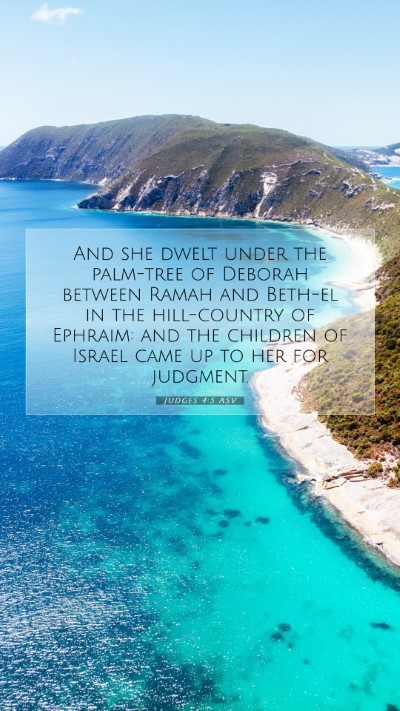 Picture 07 - Judges 4:5 ASV Mobile Phone Wallpaper - And she dwelt under the palm-tree of Deborah - Mobile Bible Verse Wallpaper