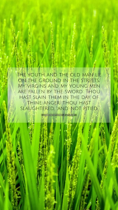 Picture 07 - Lamentations 2:21 ASV Mobile Phone Wallpaper - The youth and the old man lie on the ground in - Mobile Bible Verse Wallpaper