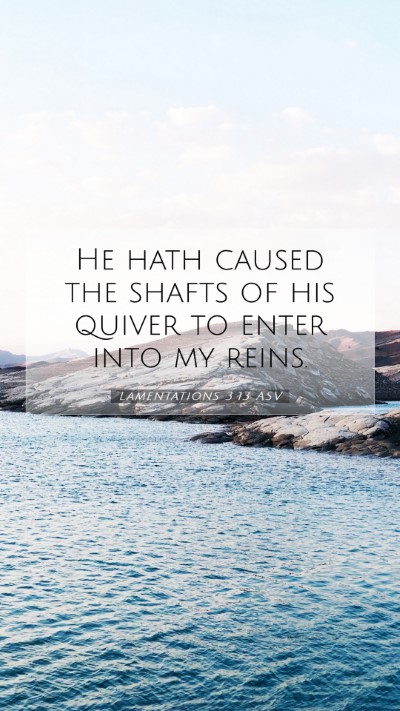 Picture 07 - Lamentations 3:13 ASV Mobile Phone Wallpaper - He hath caused the shafts of his quiver to enter - Mobile Bible Verse Wallpaper
