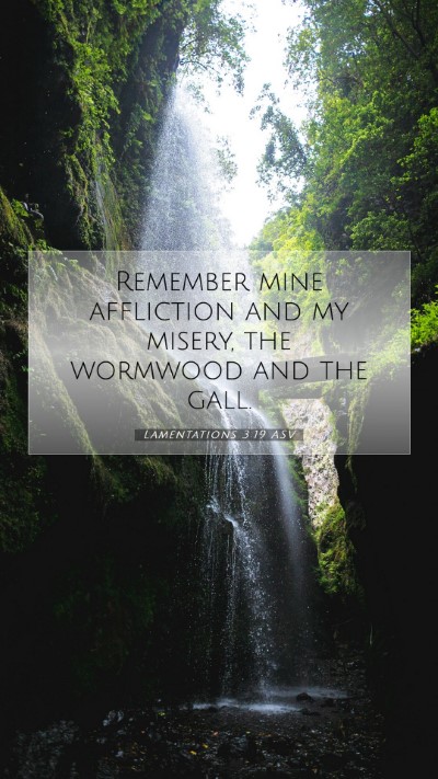 Picture 07 - Lamentations 3:19 ASV Mobile Phone Wallpaper - Remember mine affliction and my misery, the - Mobile Bible Verse Wallpaper