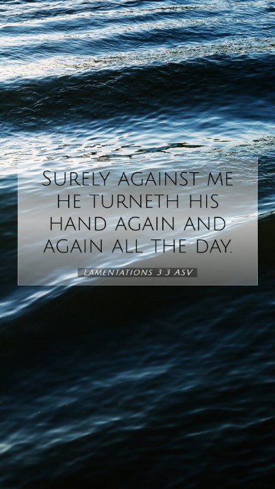Picture 07 - Lamentations 3:3 ASV Mobile Phone Wallpaper - Surely against me he turneth his hand again and - Mobile Bible Verse Wallpaper