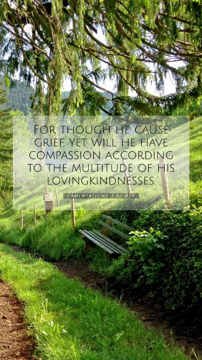 Picture 07 - Lamentations 3:32 ASV Mobile Phone Wallpaper - For though he cause grief, yet will he have - Mobile Bible Verse Wallpaper