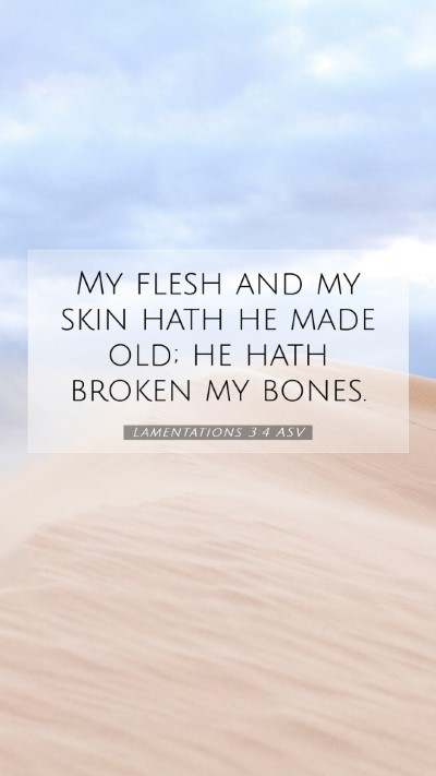 Picture 07 - Lamentations 3:4 ASV Mobile Phone Wallpaper - My flesh and my skin hath he made old; he hath - Mobile Bible Verse Wallpaper